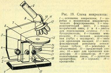 Схема микроскопа